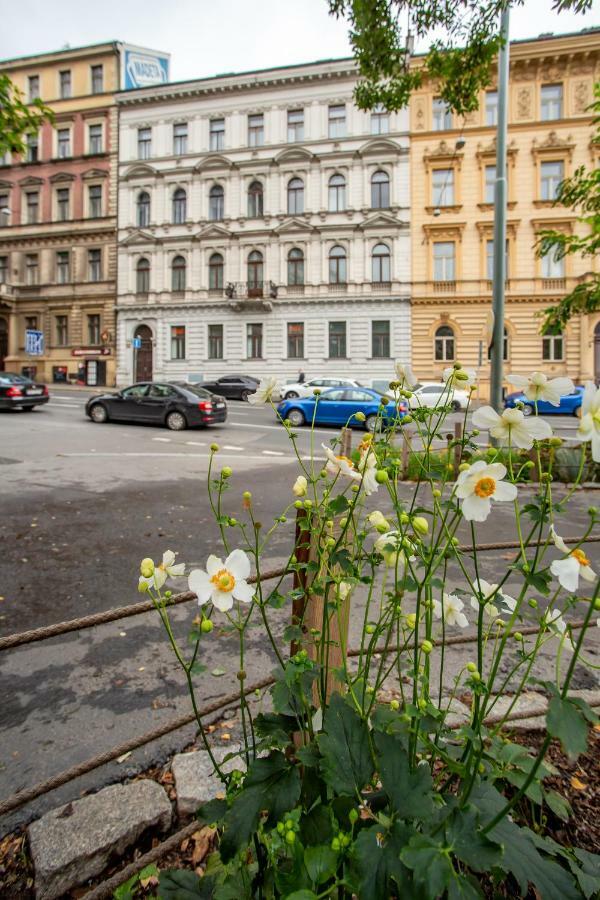 Open Gate Apartment Prague Exterior photo